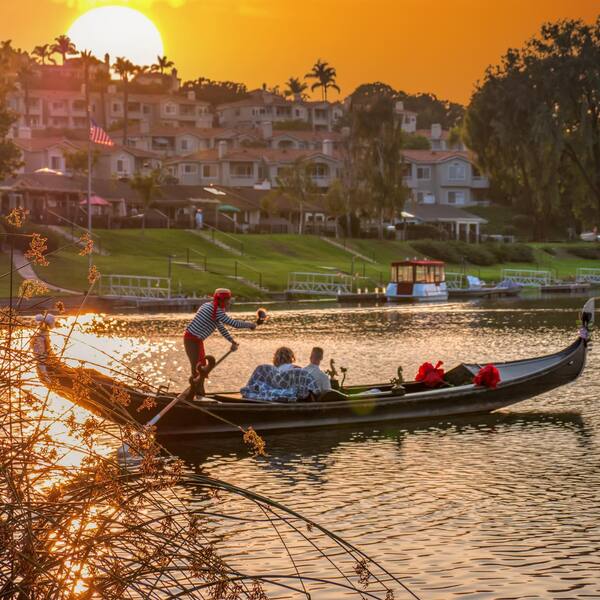 Black Swan Gondola Company