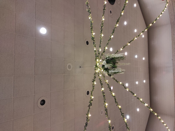 Ukrainian Youth Unity Complex