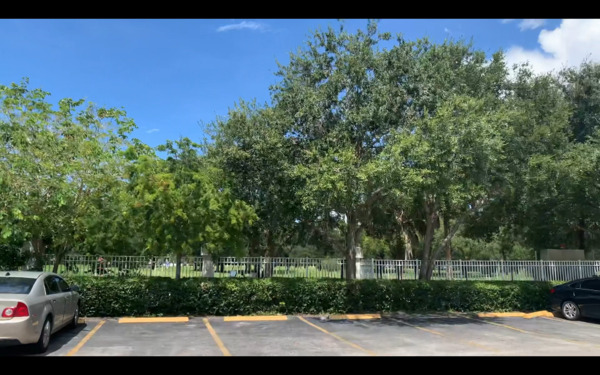 The Changing Ministry