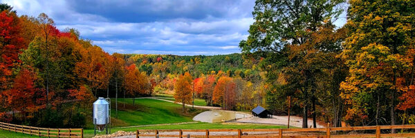 The Farm At Old World Garden