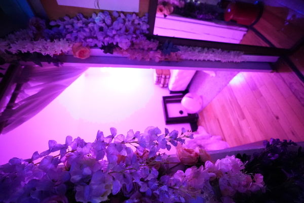 Elle Studios Brooklyn