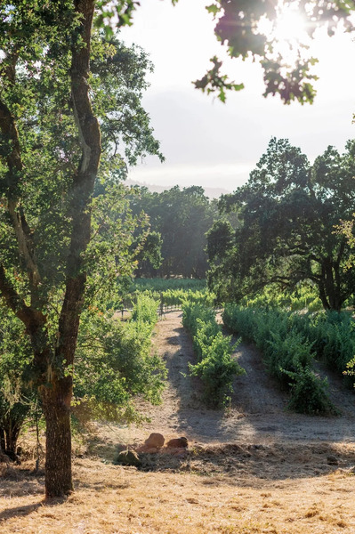Indian Springs Ranch at Kenwood