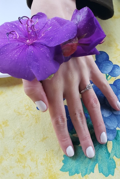 Butterflute's Wedding Chapel