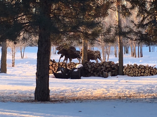 The Aspen Grove Inn at Heise Bridge