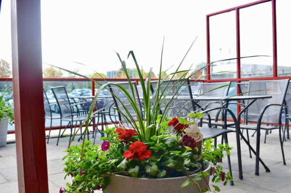 Grillicious Gourment Tap & Grill