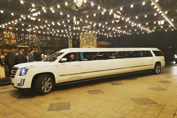 Limo Rentals