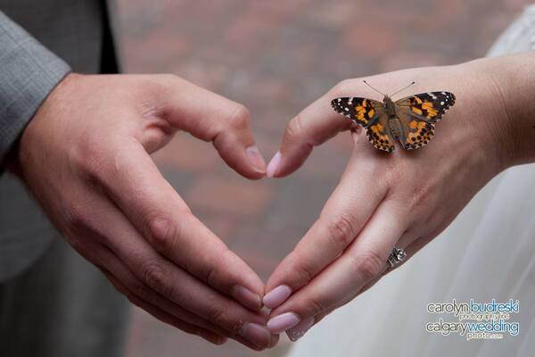 Carolyn Budreski Photography Inc