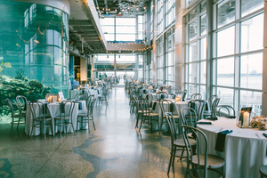 Aquarium Galleries and Great Hall