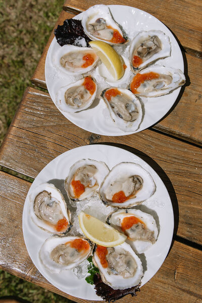 Bluebird Ocean Point Inn