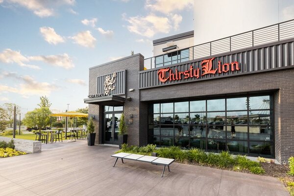 Thirsty Lion Grandscape