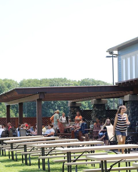 Dancing Dragonfly Winery