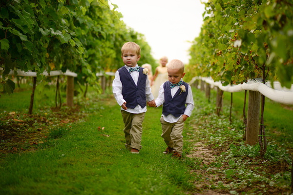 Dancing Dragonfly Winery