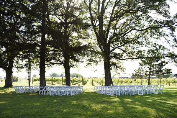 Dancing Dragonfly Winery