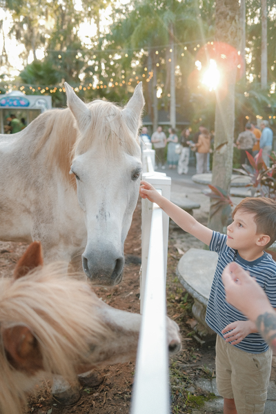 Fantasy Farms Animal Preserve