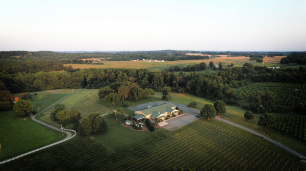 Uwharrie Vineyards & Winery