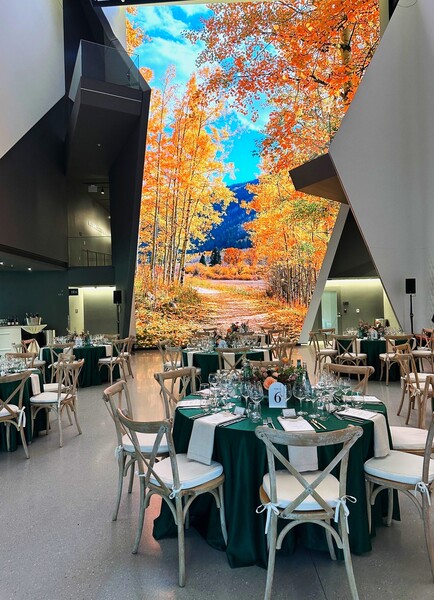 US Olympic & Paralympic Museum