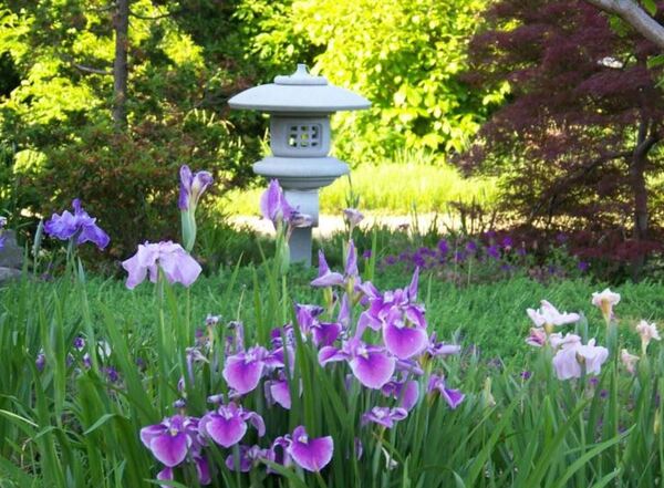 Pagoda & Oriental Garden
