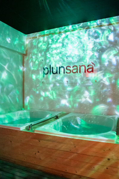 Plunsana