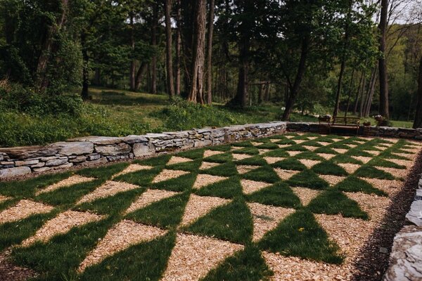 The Ruins at Sassafras Farm