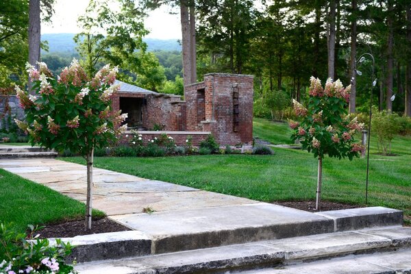 The Ruins at Sassafras Farm