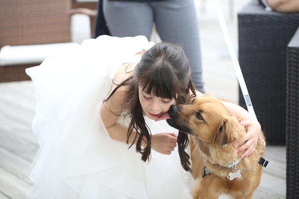 Pawfect for You, Inc.