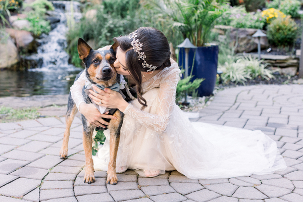 Pawfect for You, Inc.