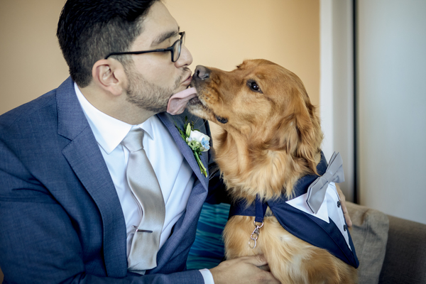 Pawfect for You, Inc.