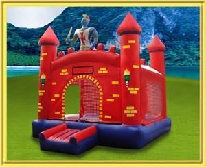 USA Inflatable/Moonwalk Rentals and Party Rentals - Winona