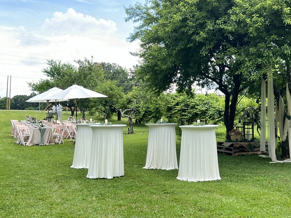 Norwood Vineyard & Gardens