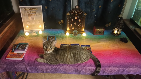 Carolina Moon | Charleston Tarot Reader