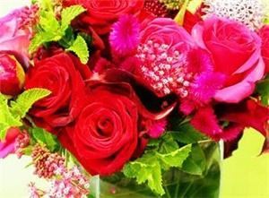 Ultra Violet Flowers