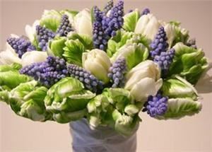 Ultra Violet Flowers