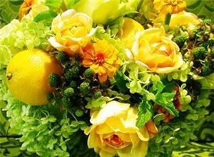 Ultra Violet Flowers