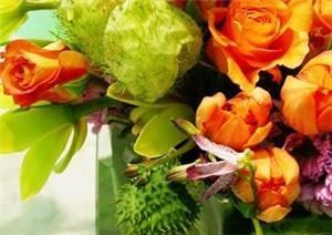 Ultra Violet Flowers