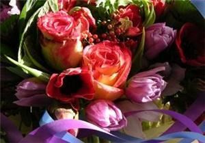 Ultra Violet Flowers