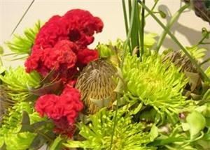 Ultra Violet Flowers