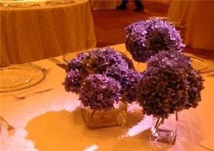 Ultra Violet Flowers