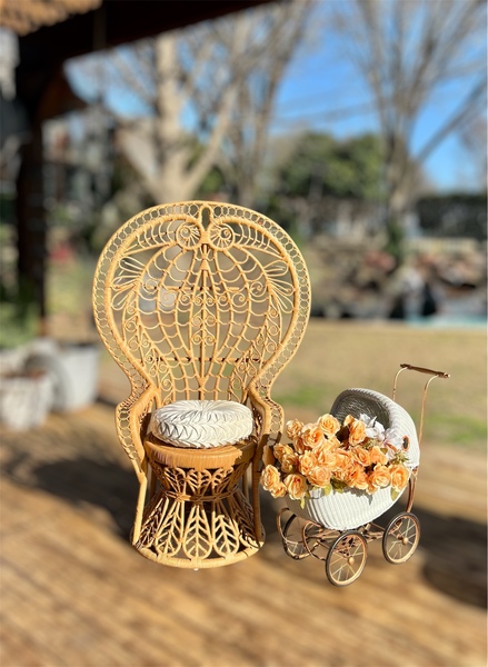 La Bohemia Party Rentals