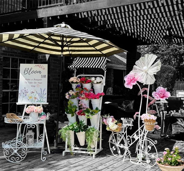 La Bohemia Party Rentals