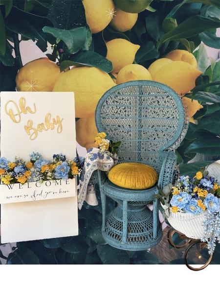 La Bohemia Party Rentals