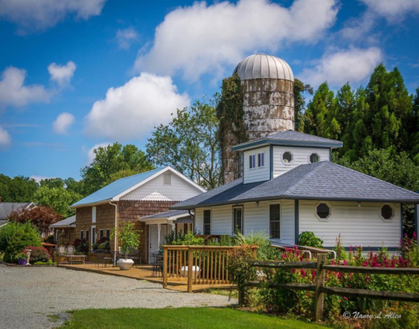 Lavender Fields at Warrington Manor