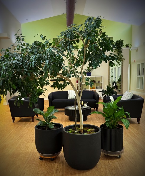 Brunswick Wellness Collective