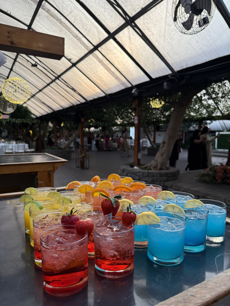 DrinksOnSam (Premium Mobile Bar & Cocktail Catering Services)