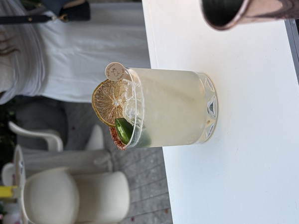 Well Shaken Mobile Bar