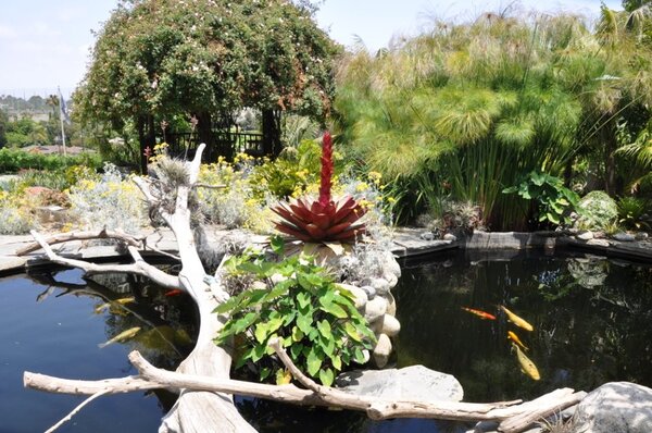 Newport Beach Vineyards & Winery