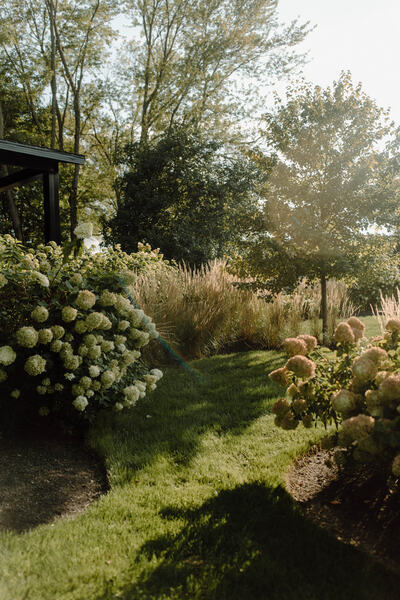 Mustard Seed Gardens