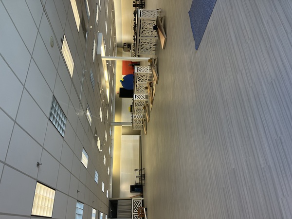 The NES Family Entertainment Venue