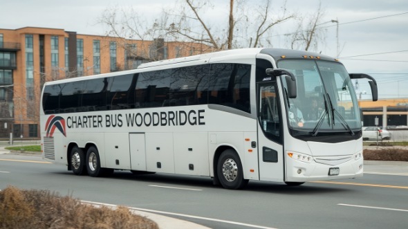 Charter Bus Woodbridge