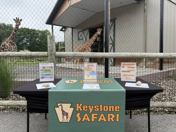 Keystone Safari