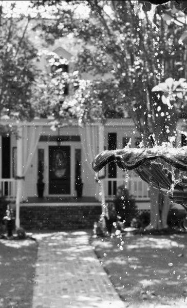 The Orchards Event Venue